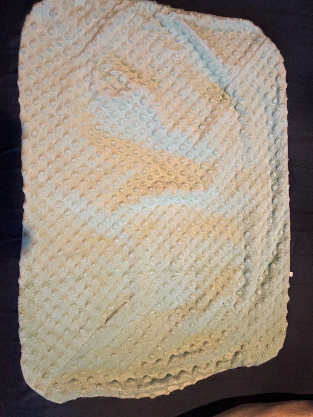 Infant Lounger Cover
